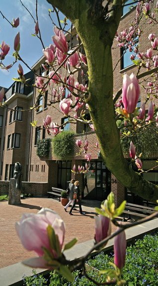 Direction Organigramme